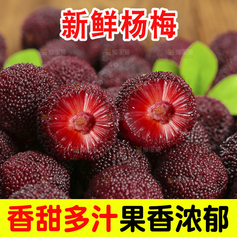 木底上的仙居杨梅