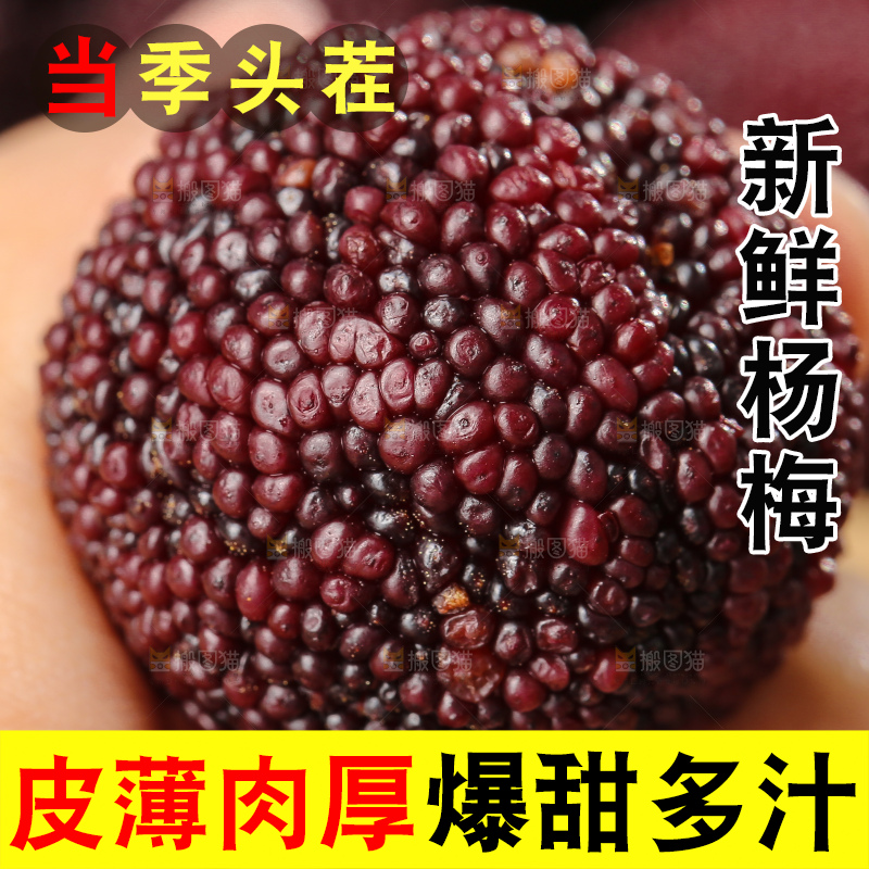 深底上的杨梅鲜果