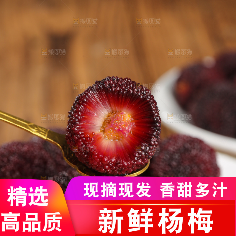 木底上的仙居杨梅