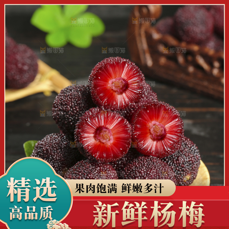 木底上的仙居杨梅