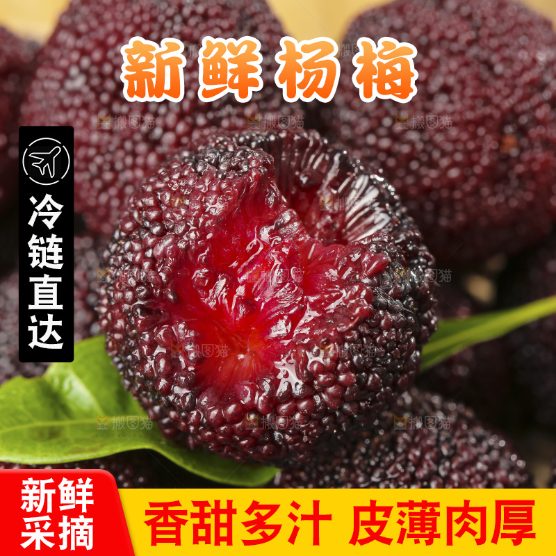 深底上的杨梅鲜果