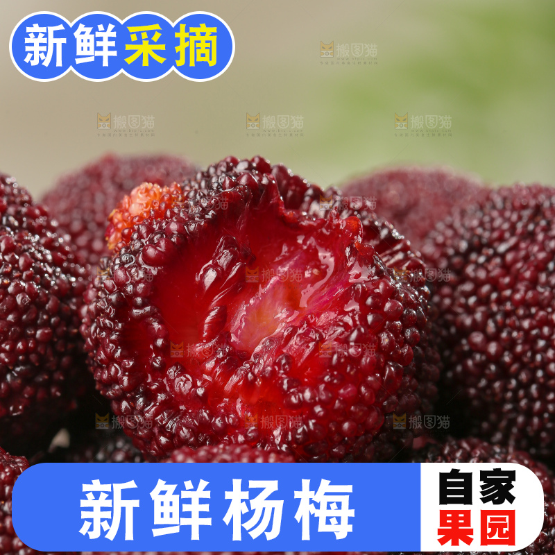 深底上的杨梅鲜果