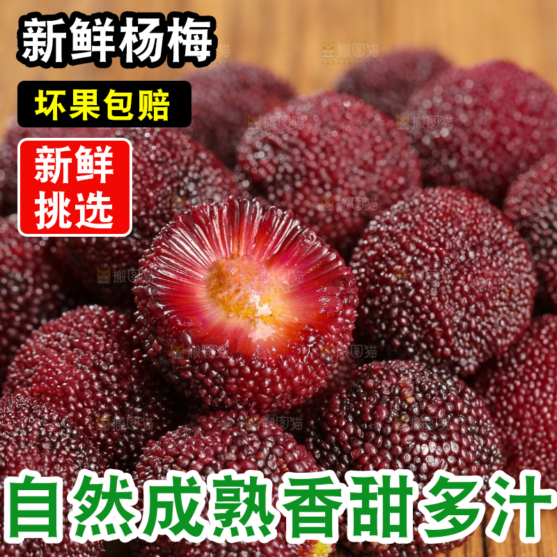 木底上的仙居杨梅