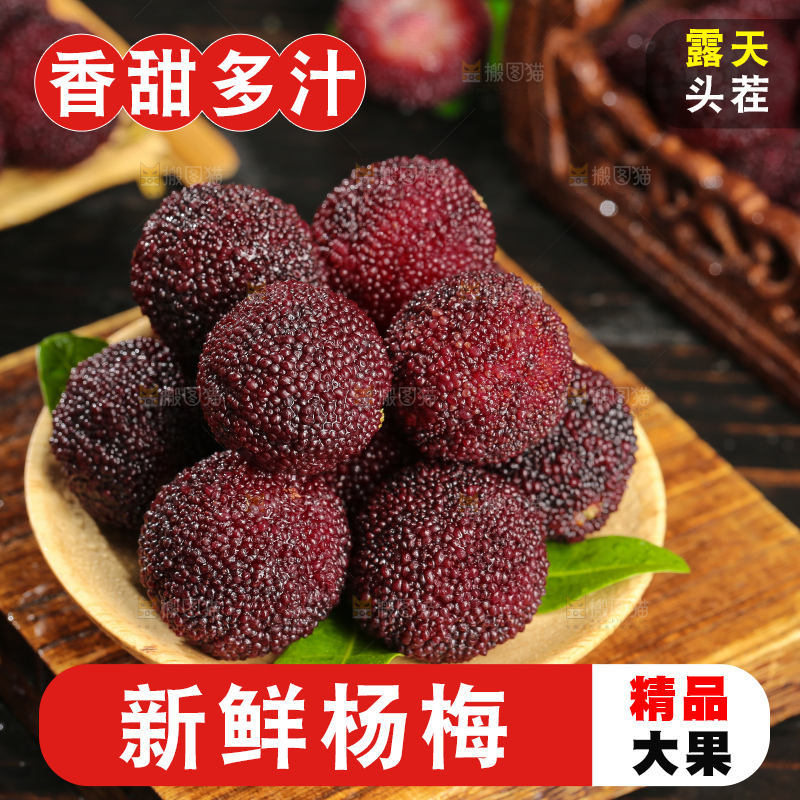 木底上的仙居杨梅