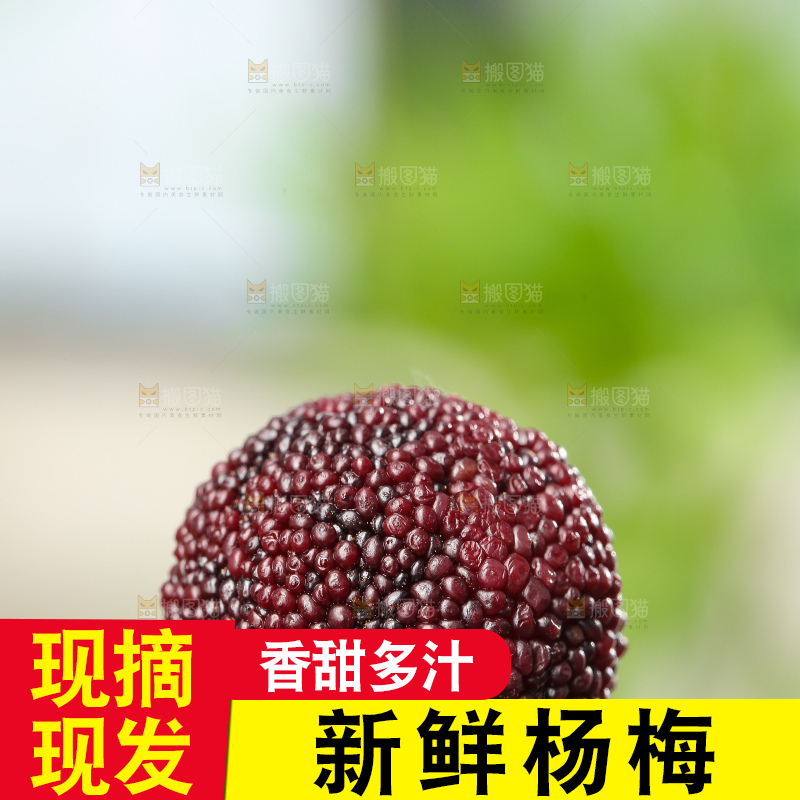 深底上的杨梅鲜果