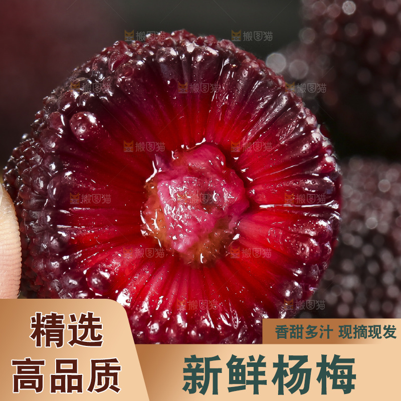 木底上的仙居杨梅