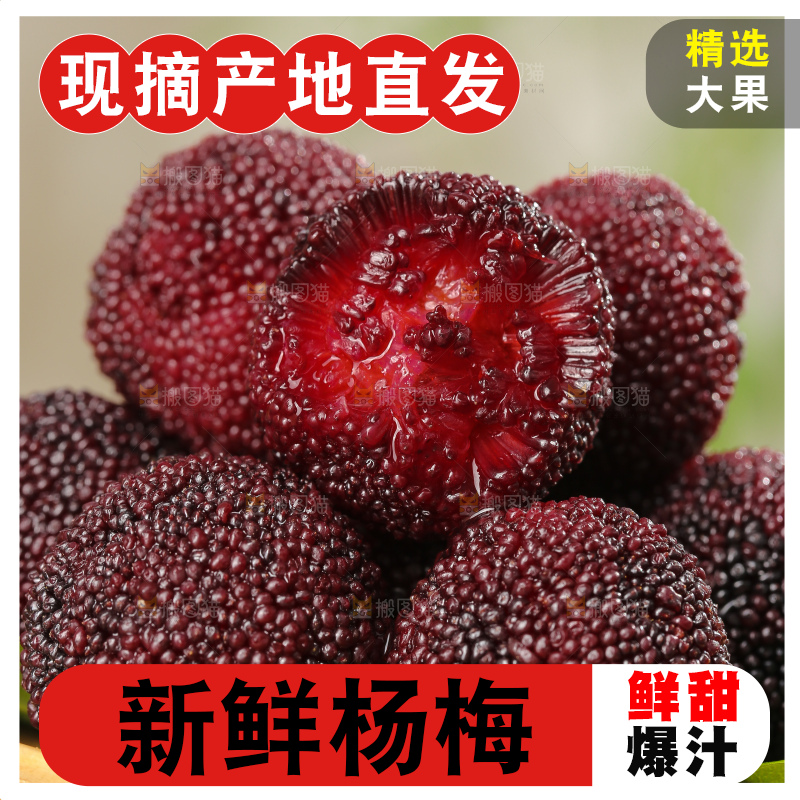 木底上的仙居杨梅