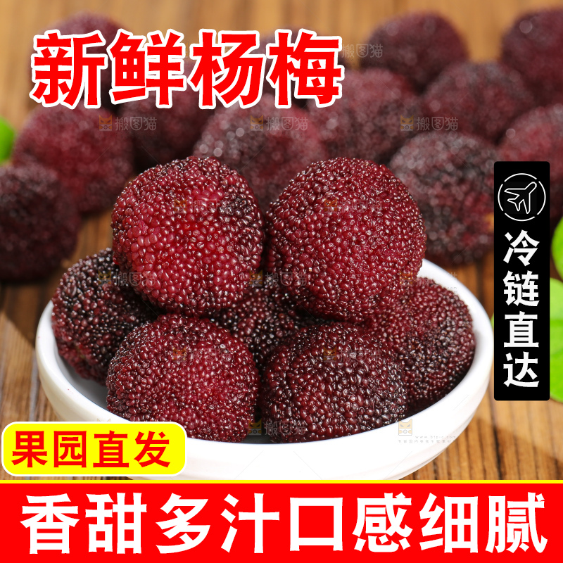 木底上的仙居杨梅