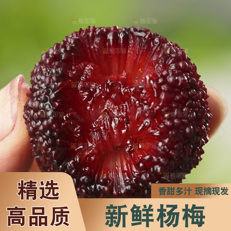 深底上的杨梅鲜果