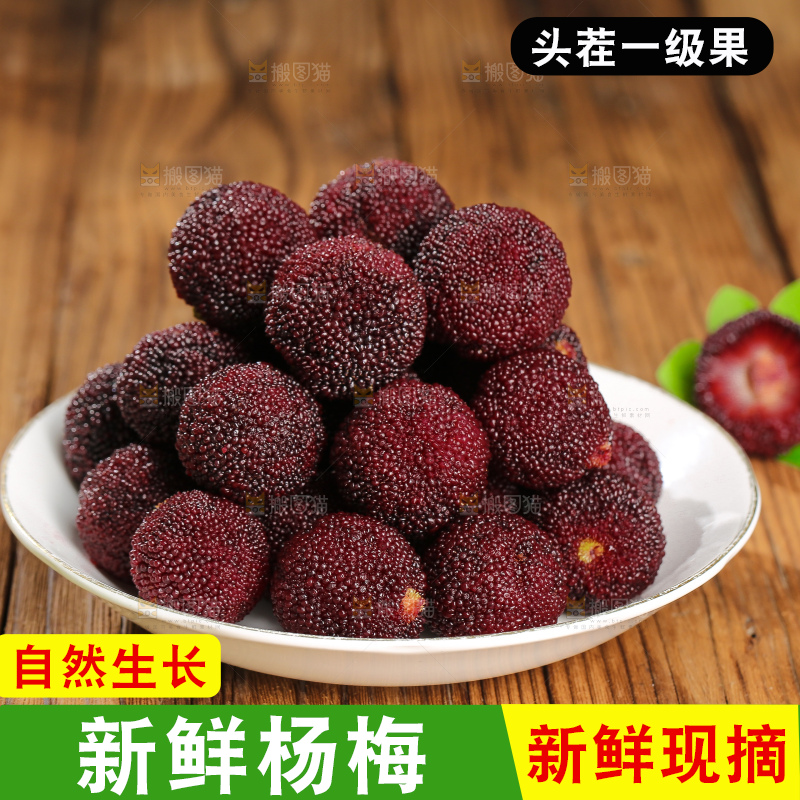 木底上的仙居杨梅