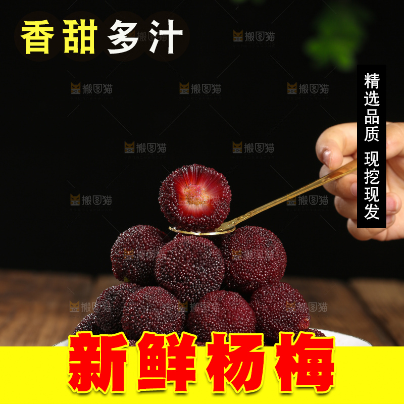 木底上的仙居杨梅