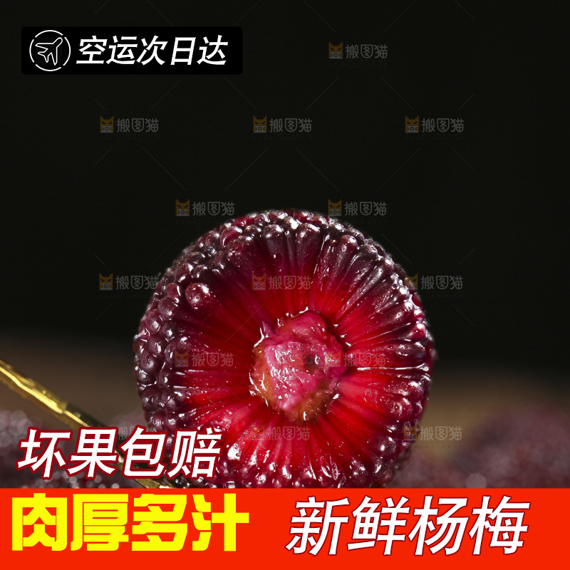 木底上的仙居杨梅
