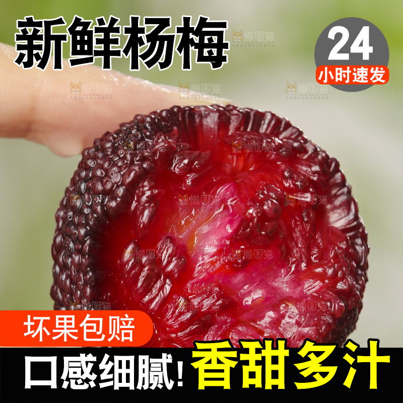 木底上的仙居杨梅