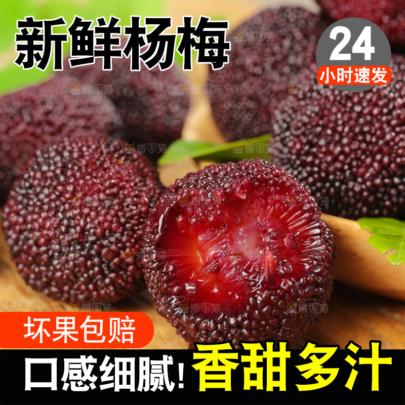 木底上的仙居杨梅