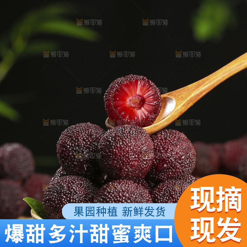 木底上的仙居杨梅