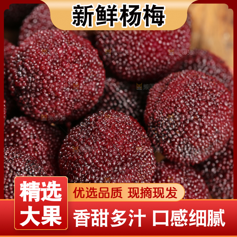 木底上的仙居杨梅