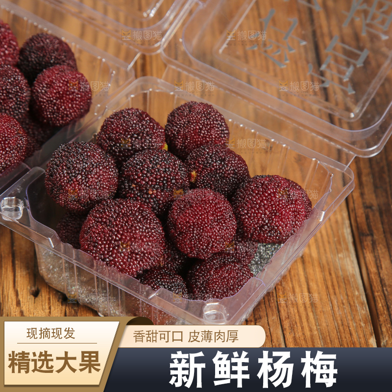 木底上的仙居杨梅