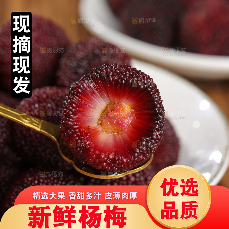 木底上的仙居杨梅