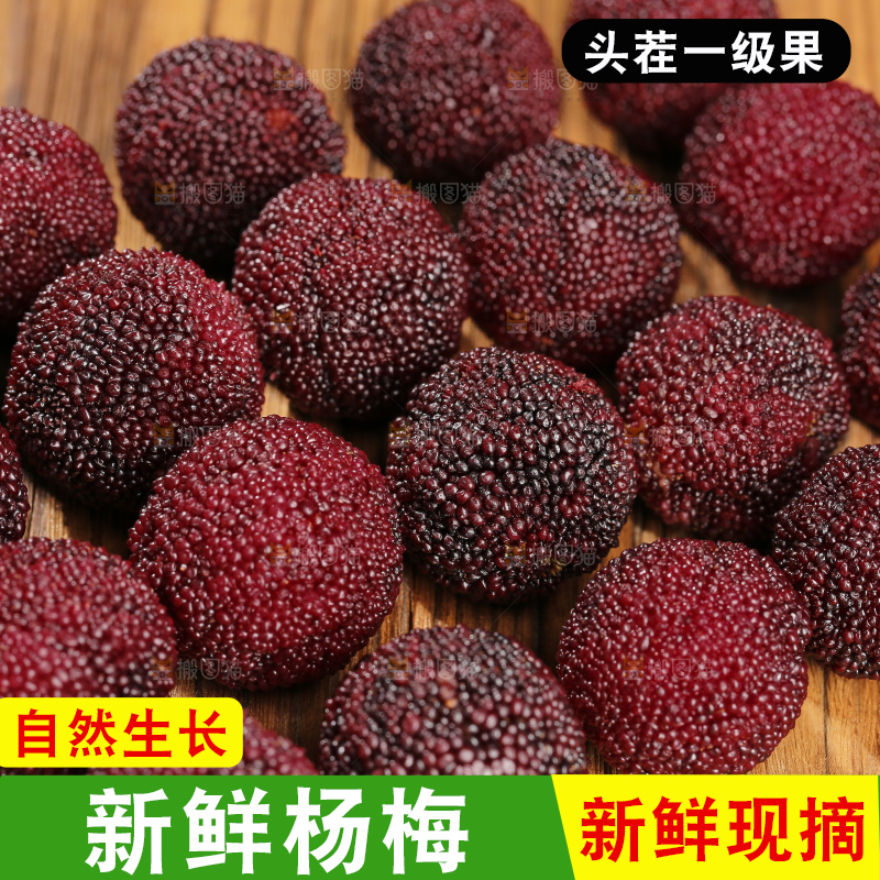 木底上的仙居杨梅