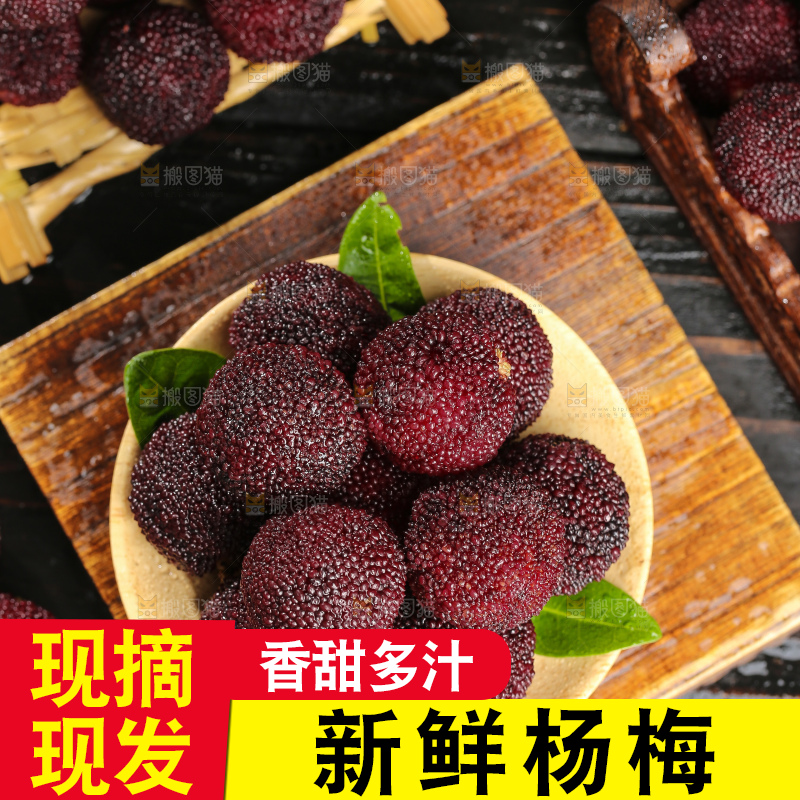 木底上的仙居杨梅