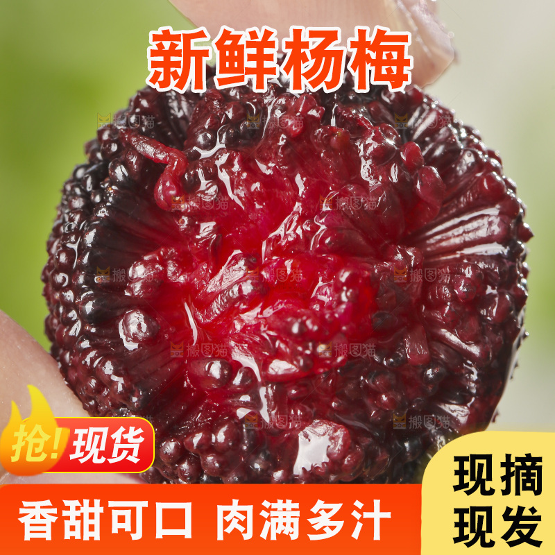 深底上的杨梅鲜果