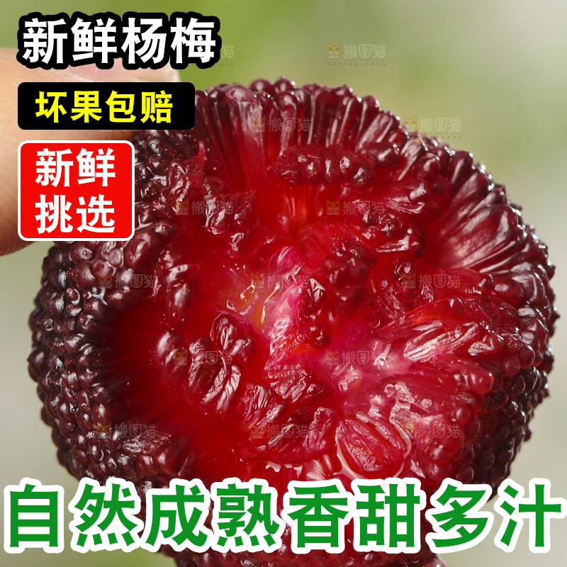 木底上的仙居杨梅