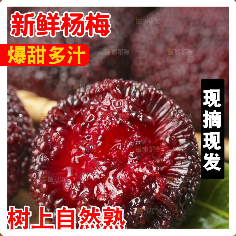深底上的杨梅鲜果