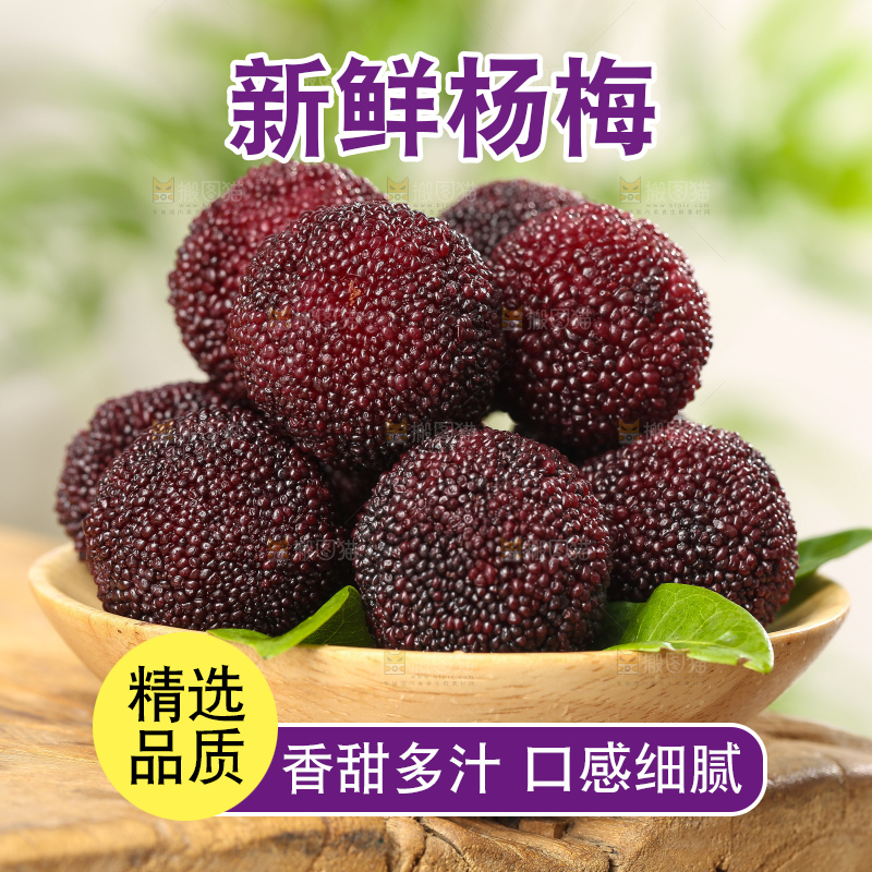 木底上的仙居杨梅