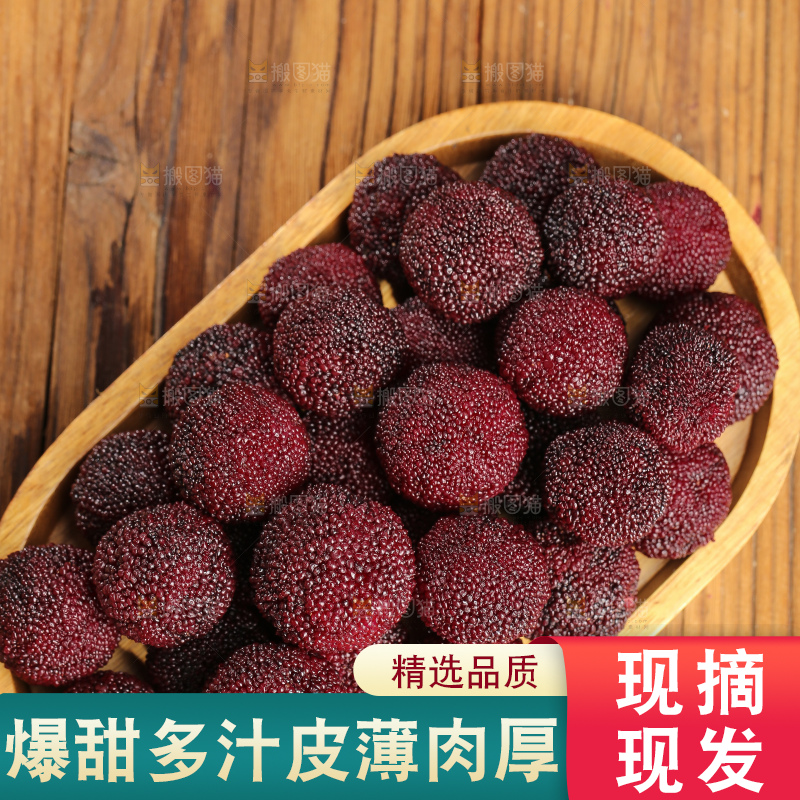 木底上的仙居杨梅