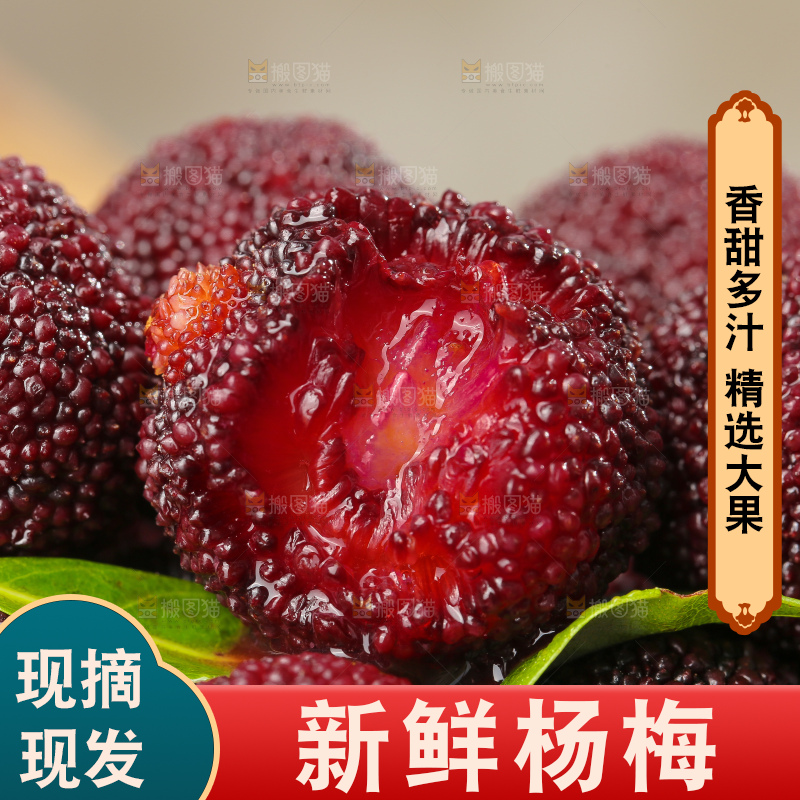 深底上的杨梅鲜果