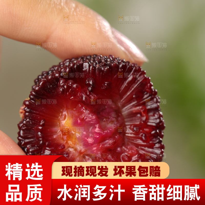 木底上的新鲜杨梅