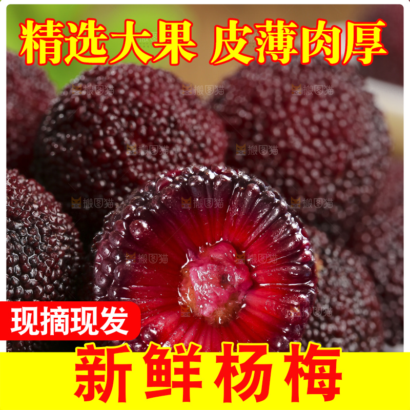 木底上的仙居杨梅