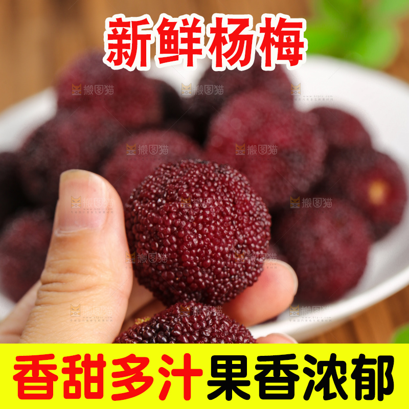 木底上的仙居杨梅