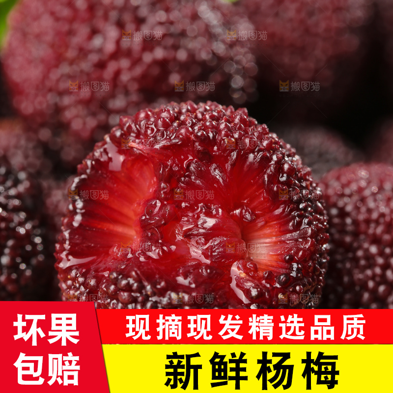 深底上的杨梅鲜果