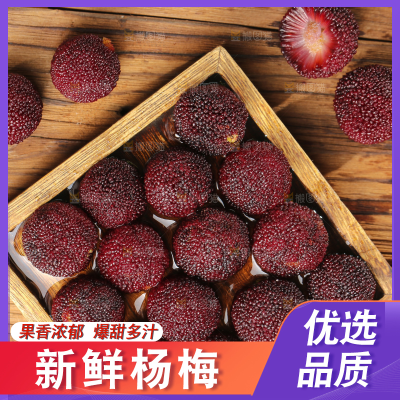 木底上的仙居杨梅