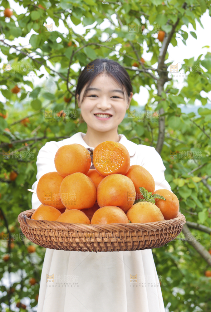 手里拿着新疆大黄杏