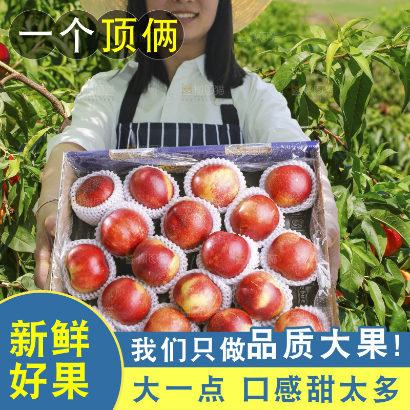 手里拿着黄肉油桃