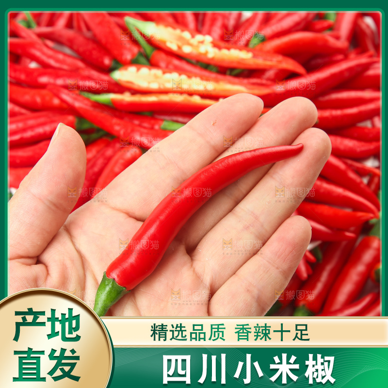 白底上的小米辣