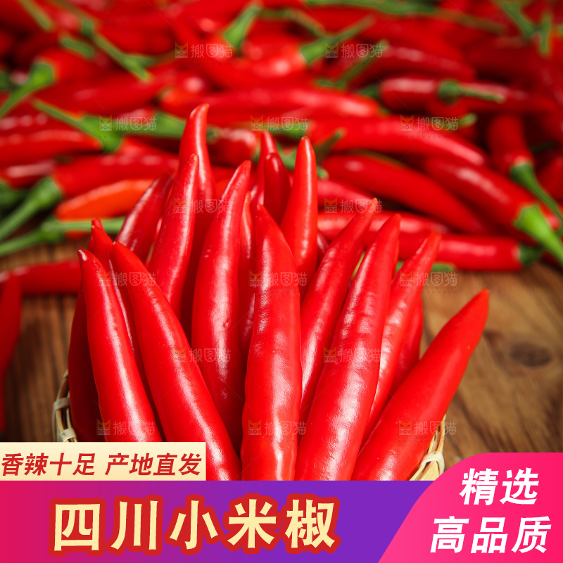 木底上的小米椒