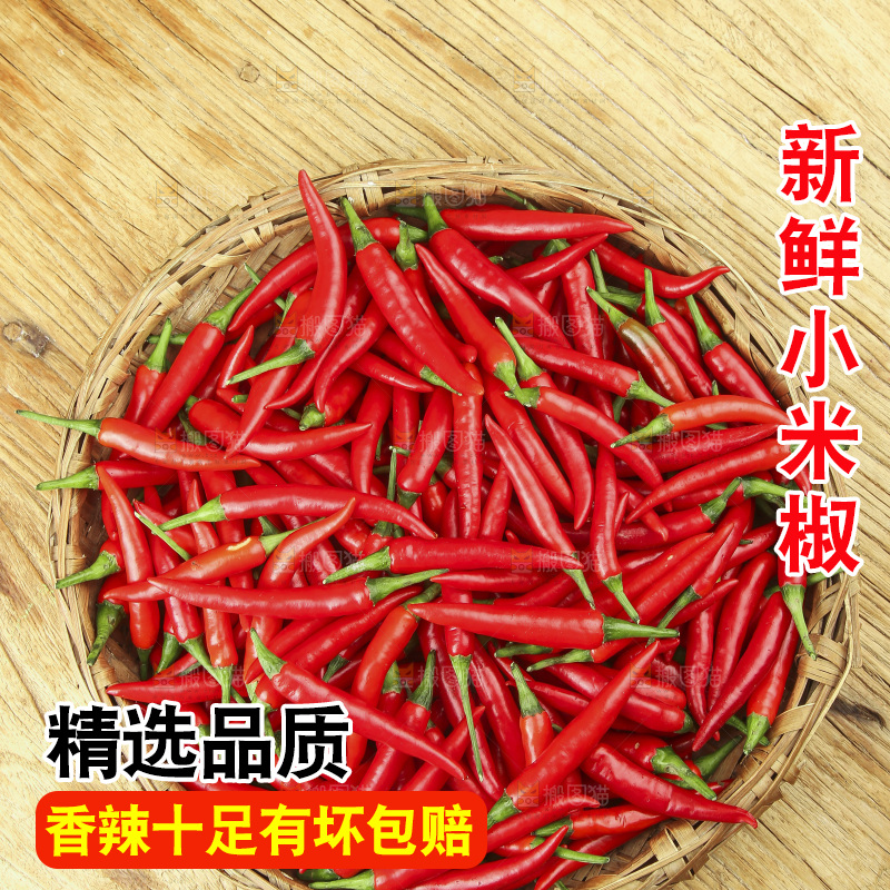 木底上的小米椒