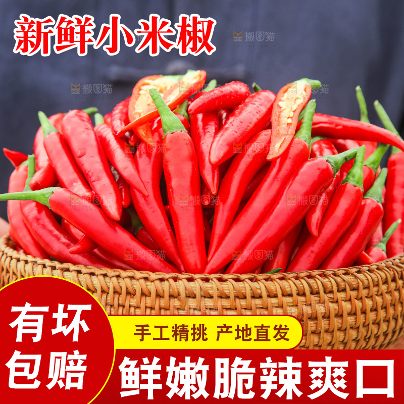 手里拿着小米辣