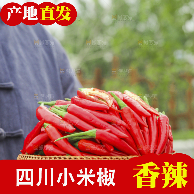 手里拿着小米辣