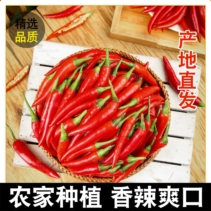 深底上的小米椒