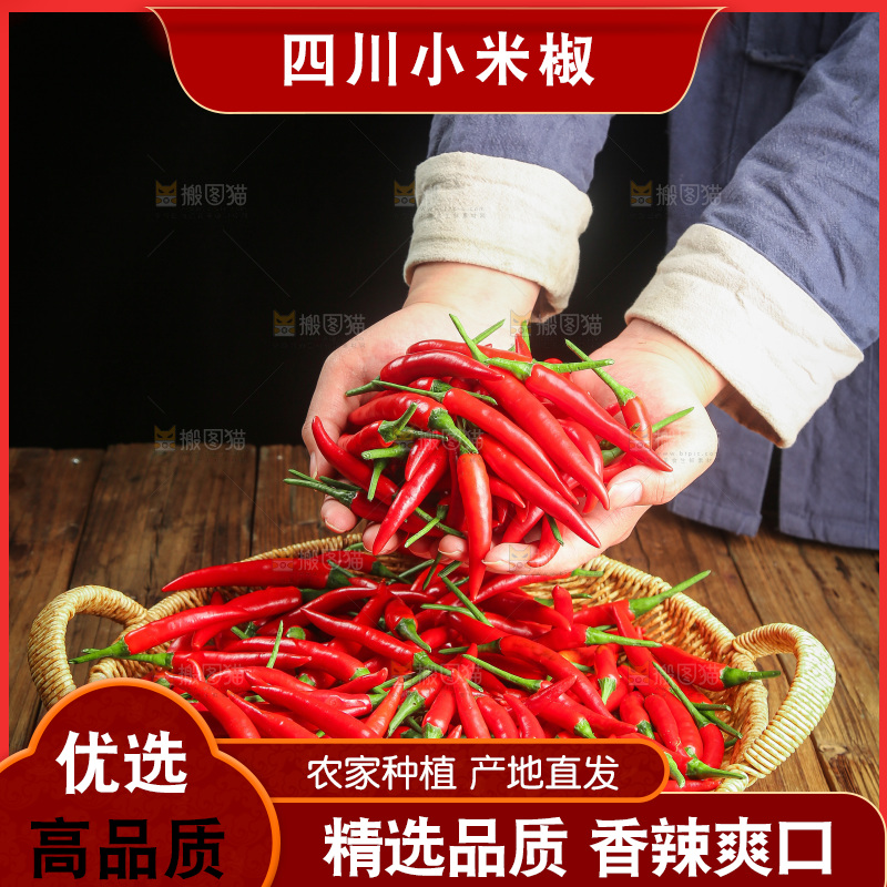 木底上的小米椒