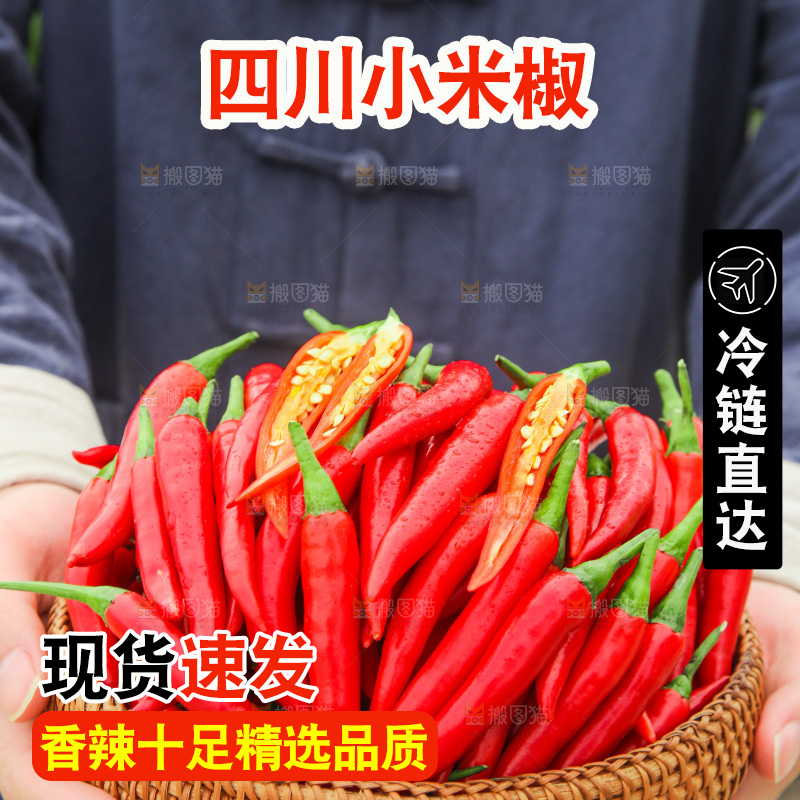 手里拿着小米辣