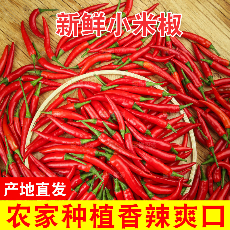 木底上的小米椒