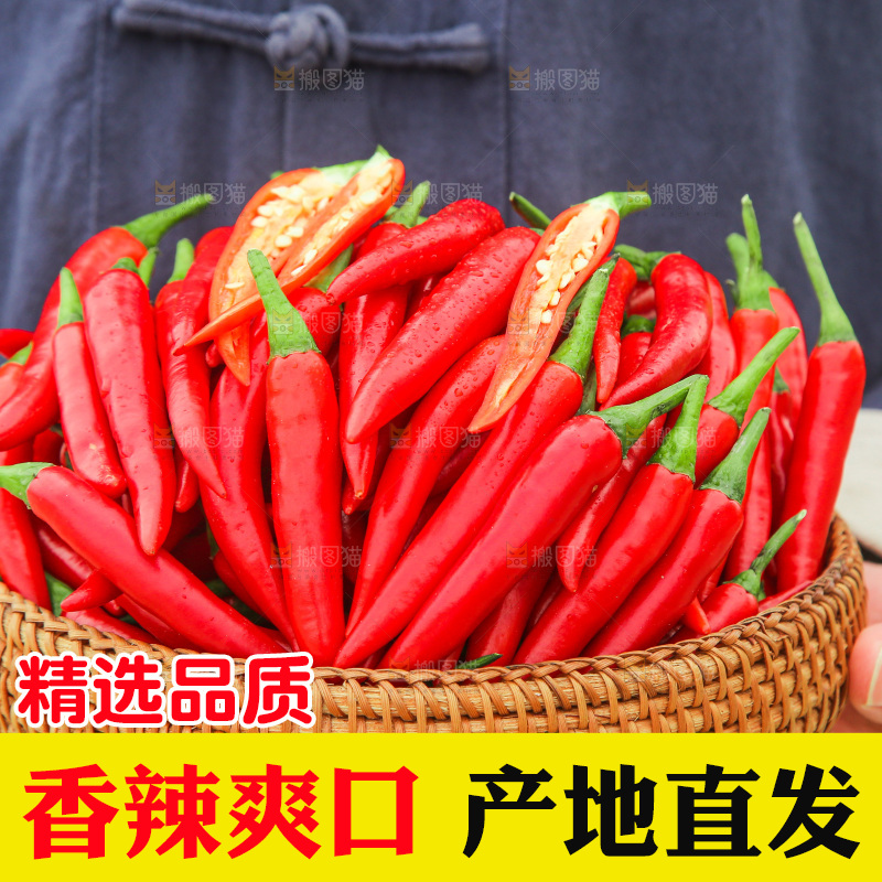 手里拿着小米辣
