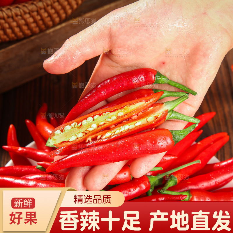 深底上的小米椒