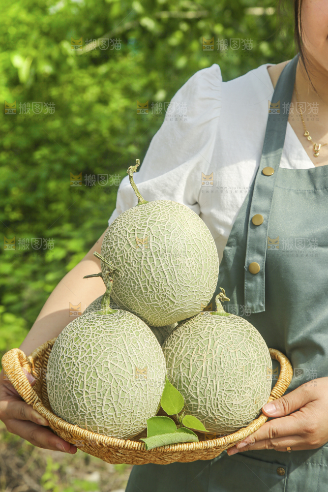手里拿着玫珑网纹瓜