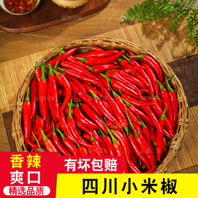 深底上的农家小米椒